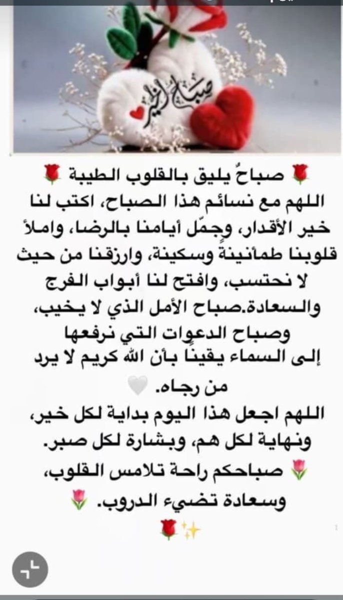 7amadvip's tweet photo. صباح الخير يا وجه الخير 🥰🌹 https://t.co/witODxp63U