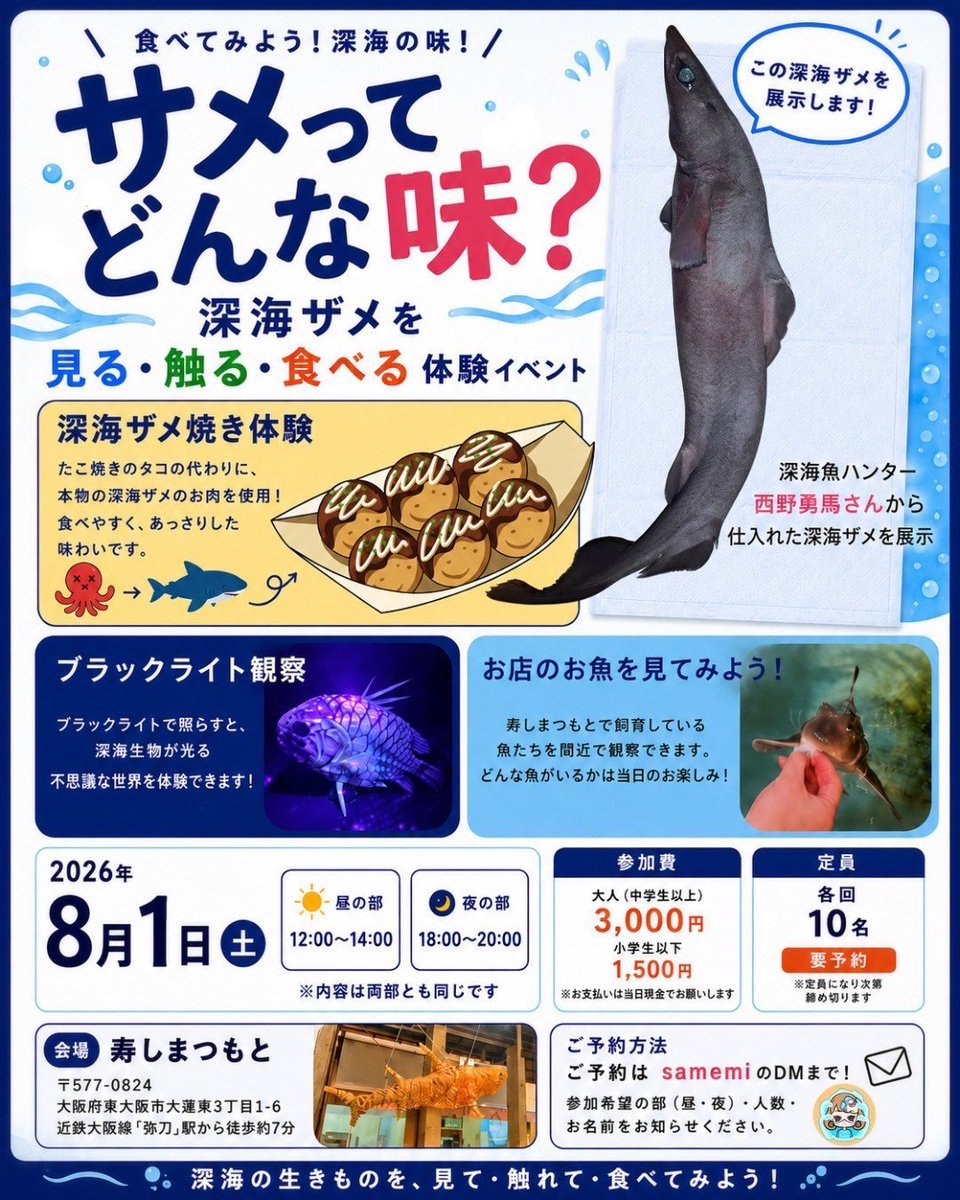海松　深海松　ブラックコーラル 8月1日、2日はサメ、深海魚イベント！ 予約枠あとわずかです！