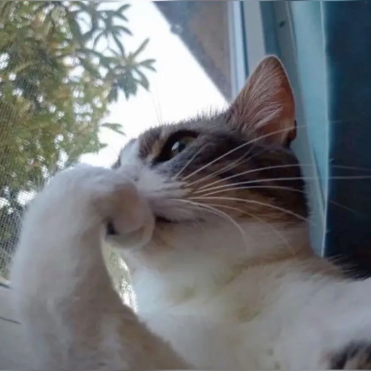 etherabbyss's tweet photo. Dulu cara cukup ampuh buat nahan kantuk adalah dgn nonton komplikasi jumpscare. Apakah aku harus belajar sambil menonton jumpscare? https://t.co/IuWftElxQe