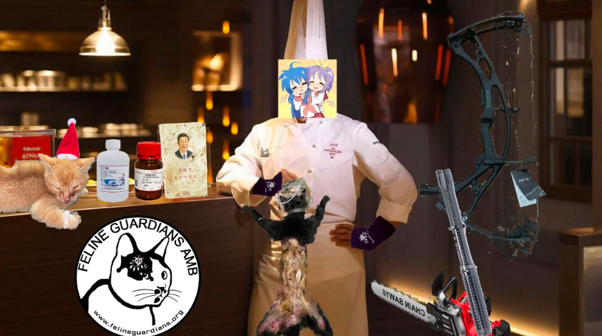Hurriya1973's tweet photo. @KiwiFarmsDotNet @Cloudflare @RETNnet @voxility @path_network @ZayoGroup @eastdakota @Cloudflare is fine with this content. #catabuserschina
@eastdakota you are complicit in this crime bitch! https://t.co/hLQqoo05Kj