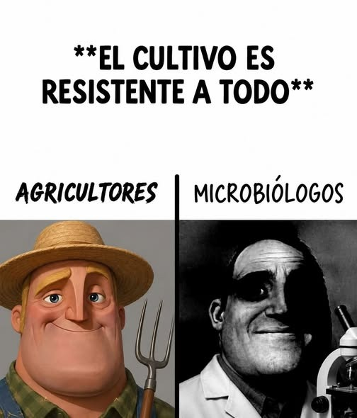Enséñame de Ciencia tweet media