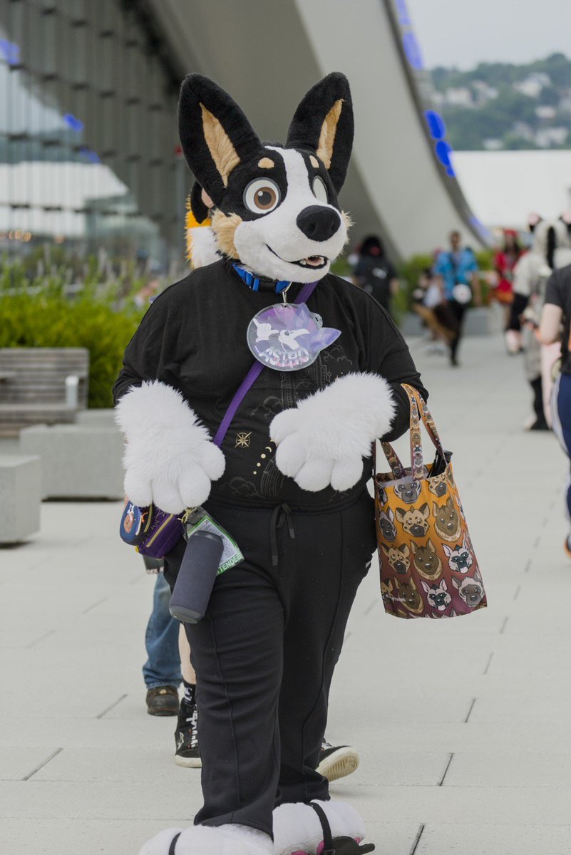 AstroBeato's tweet photo. Heheeey!

Doggo wondering!

🤙💙
#FursuitFriday https://t.co/PtF1Uza5YO