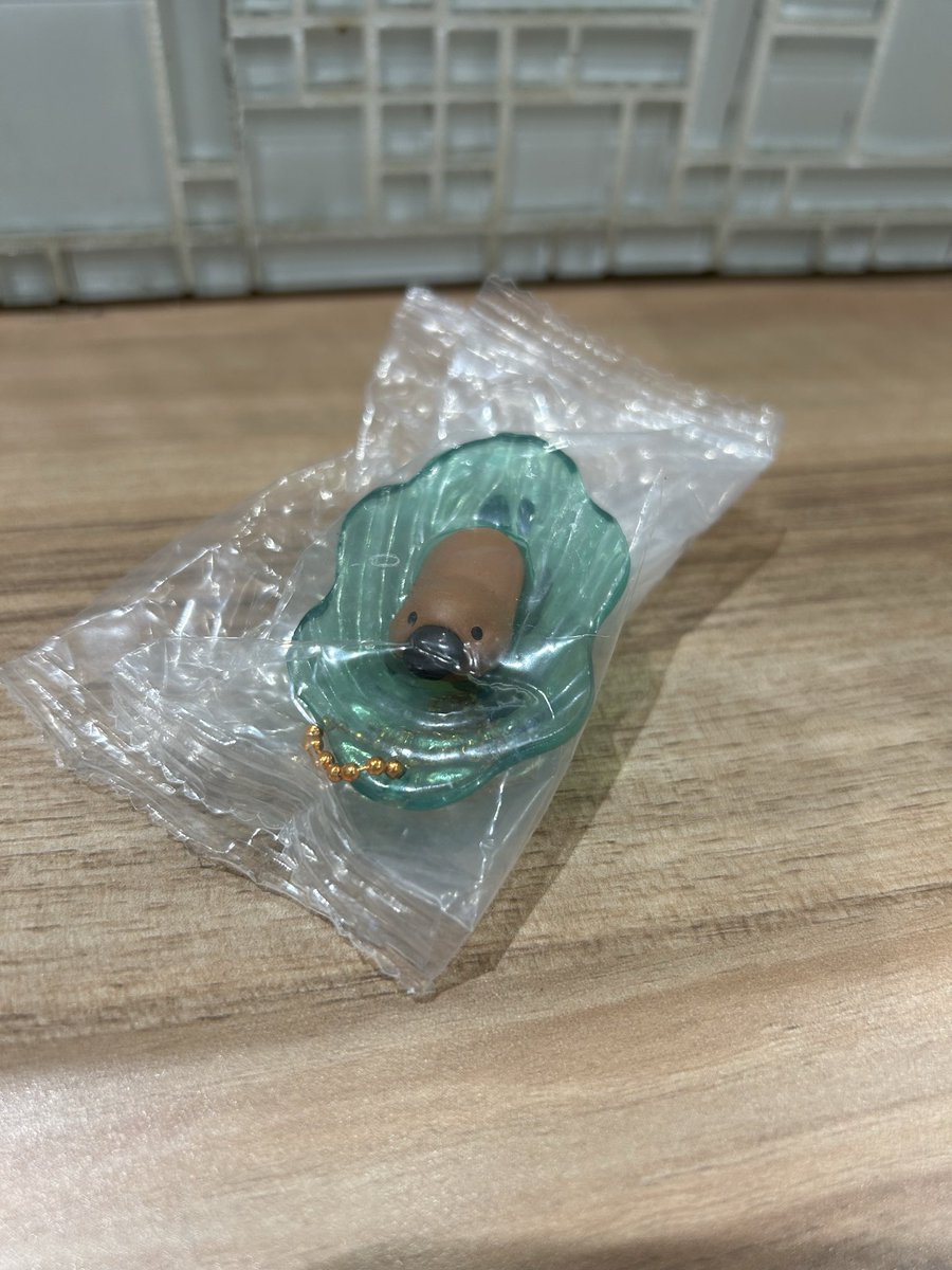 トマ丸 tweet media