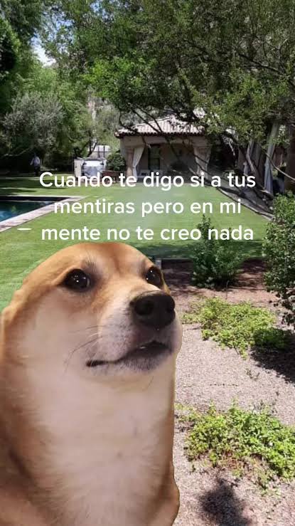 Almarosa4T's tweet photo. @catrina_nortena @Eve3LM Es increíble esta aberraci0N jaja del odio al amor no sean RIDÍCUL0s @VentaneandoUno 🤦🏻‍♀️🙄 https://t.co/qiXrzFdjBw