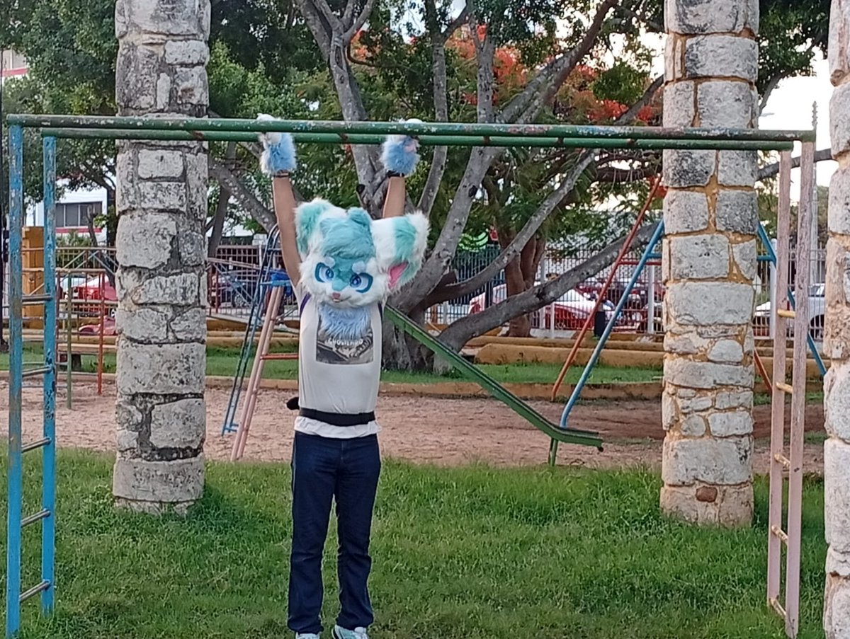 SilverIceSkunk's tweet photo. (198/230) [32 Days left for 🎂]
#FursuitFriday !!
On the park!!!!
#skunk #skunks #skunkfurry #skunkart #furry #art #furryart https://t.co/pOCjEkA7nc