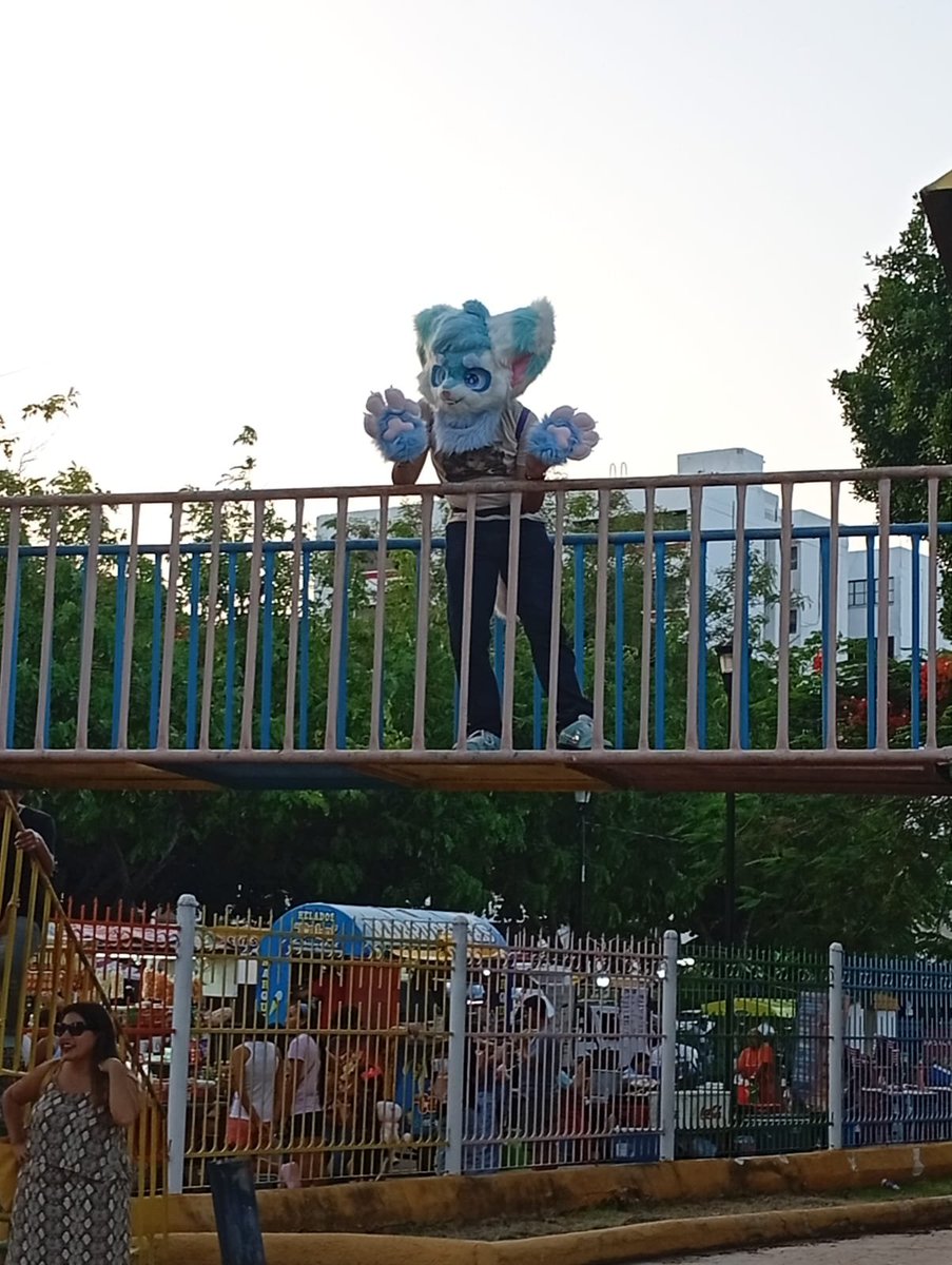 SilverIceSkunk's tweet photo. (198/230) [32 Days left for 🎂]
#FursuitFriday !!
On the park!!!!
#skunk #skunks #skunkfurry #skunkart #furry #art #furryart https://t.co/pOCjEkA7nc