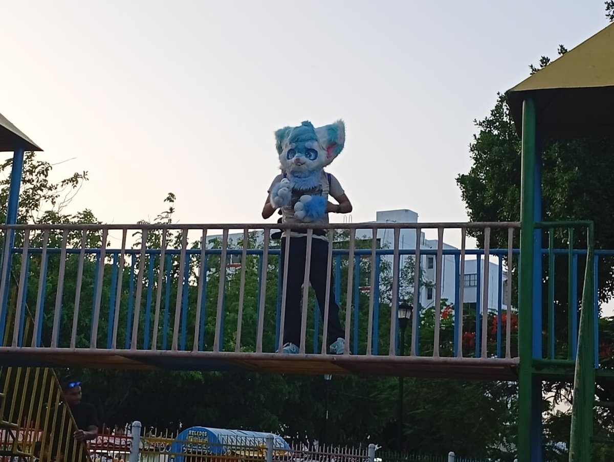 SilverIceSkunk's tweet photo. (198/230) [32 Days left for 🎂]
#FursuitFriday !!
On the park!!!!
#skunk #skunks #skunkfurry #skunkart #furry #art #furryart https://t.co/pOCjEkA7nc