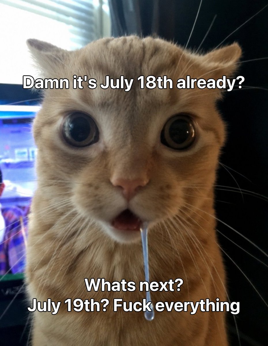 literallymecats's tweet photo. https://t.co/R7F4yzsmYb