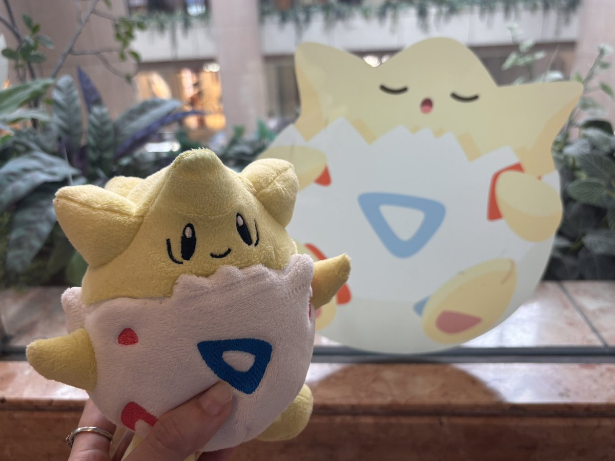 riripi175's tweet photo. あーかわい🥚🤍

#ポケスリ３周年をみんなで https://t.co/zSQYRmC6ch