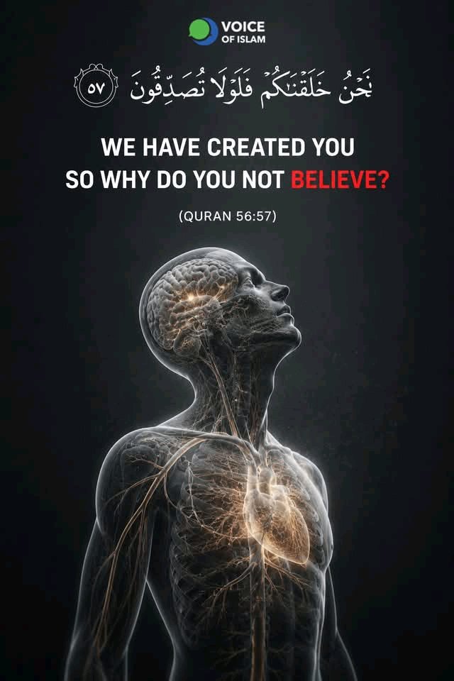 Saleh_Sulaimaan's tweet photo. "We have created you so why do you not believe ?".

___Qur'an [56:57]. https://t.co/Se5RETwZC6