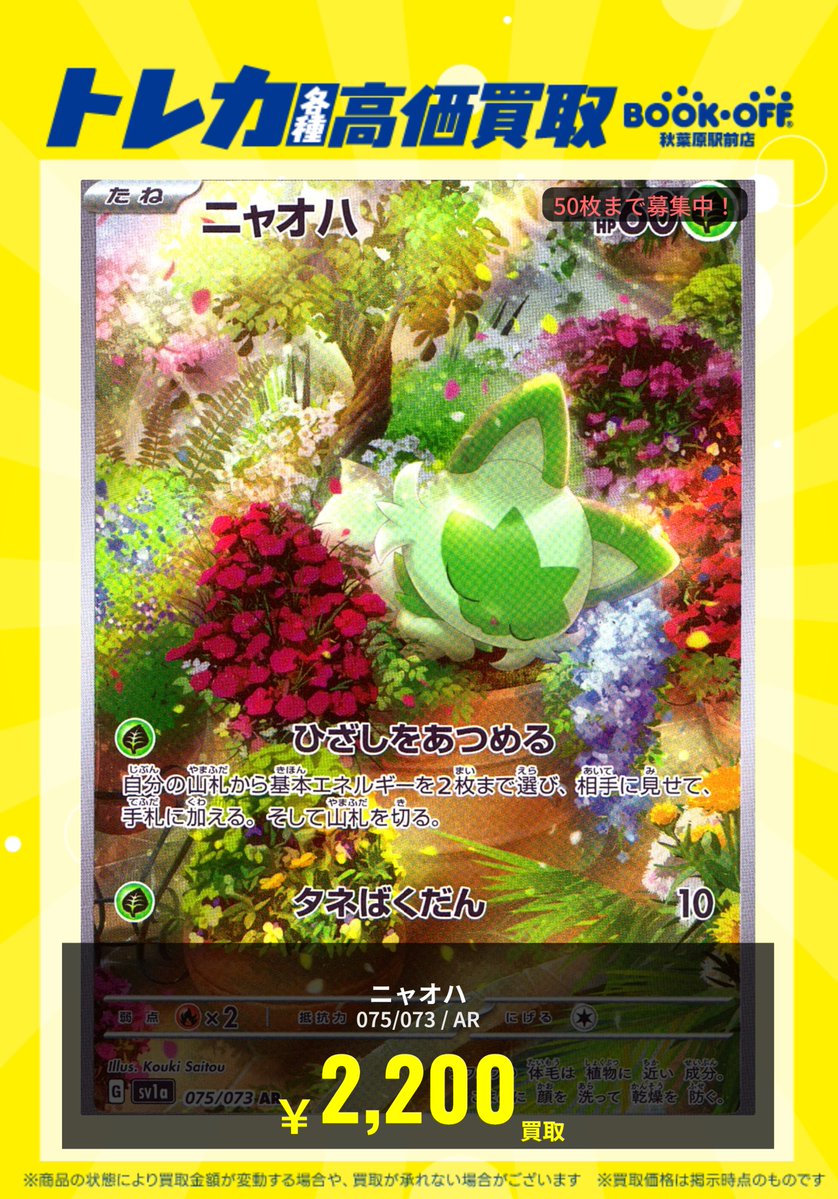 bookoffakbT's tweet photo. 【トレカ買取＆抽選申し込み情報】
出来る限り下記金額で買取させていただきますので、ぜひお持ち込みくださいませ🌸
※状態によりやむを得ず減額する可能性がございます。 
#ポケカ買取
また、各種スターターセットの抽選申し込みも開始致します
申し込みは添付画像をご確認いただきお申込みください https://t.co/fMiFdVxoTh