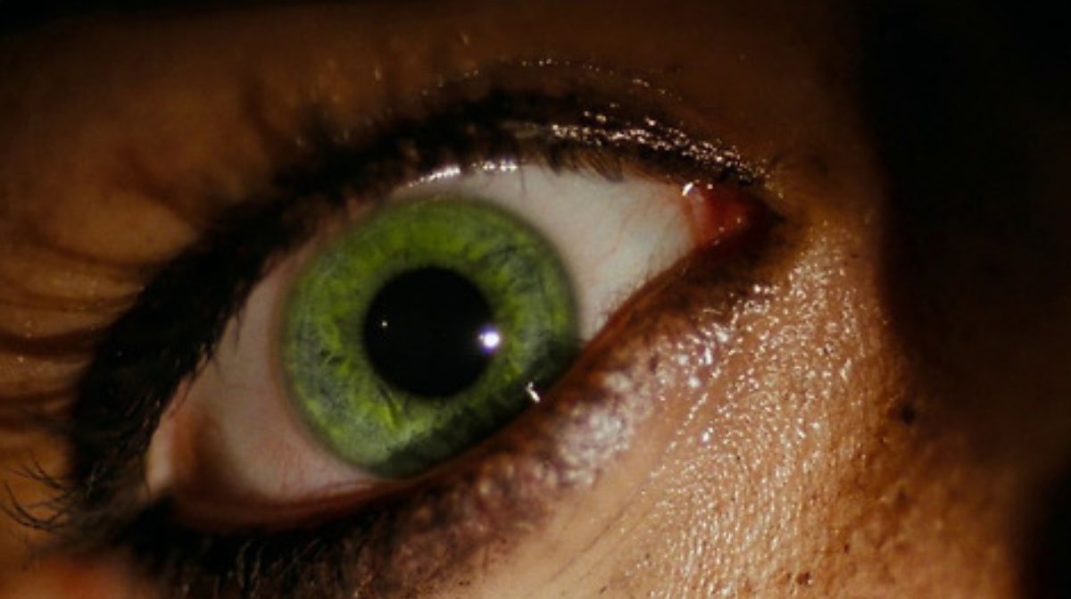 𝔥𝔞𝔫𝔫𝔞𝔥 tweet media