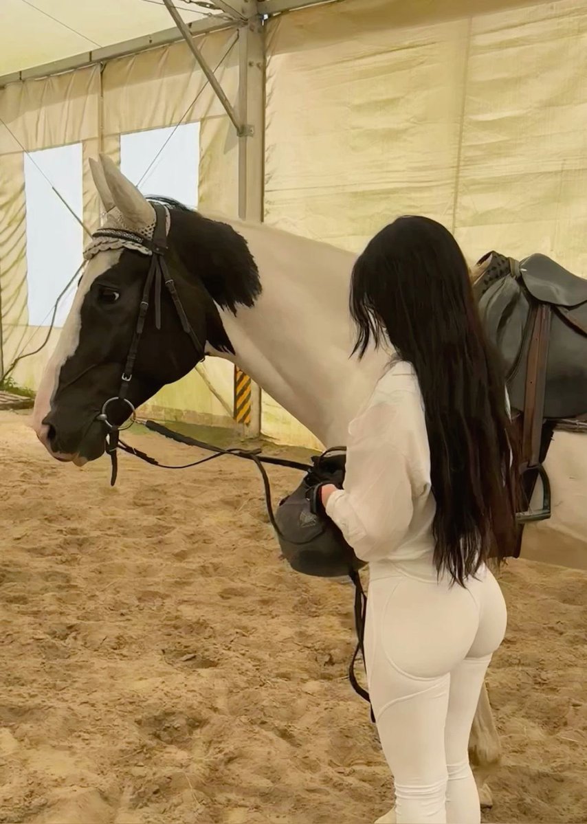 Equestrian Pup🐾 tweet media