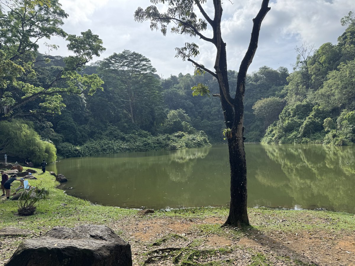 xlearth616's tweet photo. came here to crash out and scream my guts out, a pit in my stomach literally felt the vomiting sensation but then got people painting and stuff so i left and then actually vomitted a little #hotmess https://t.co/yqXbItZwmi