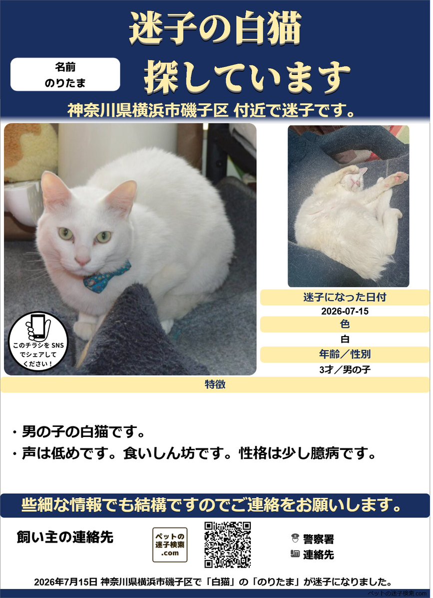 白ねこページ 白ねこページ