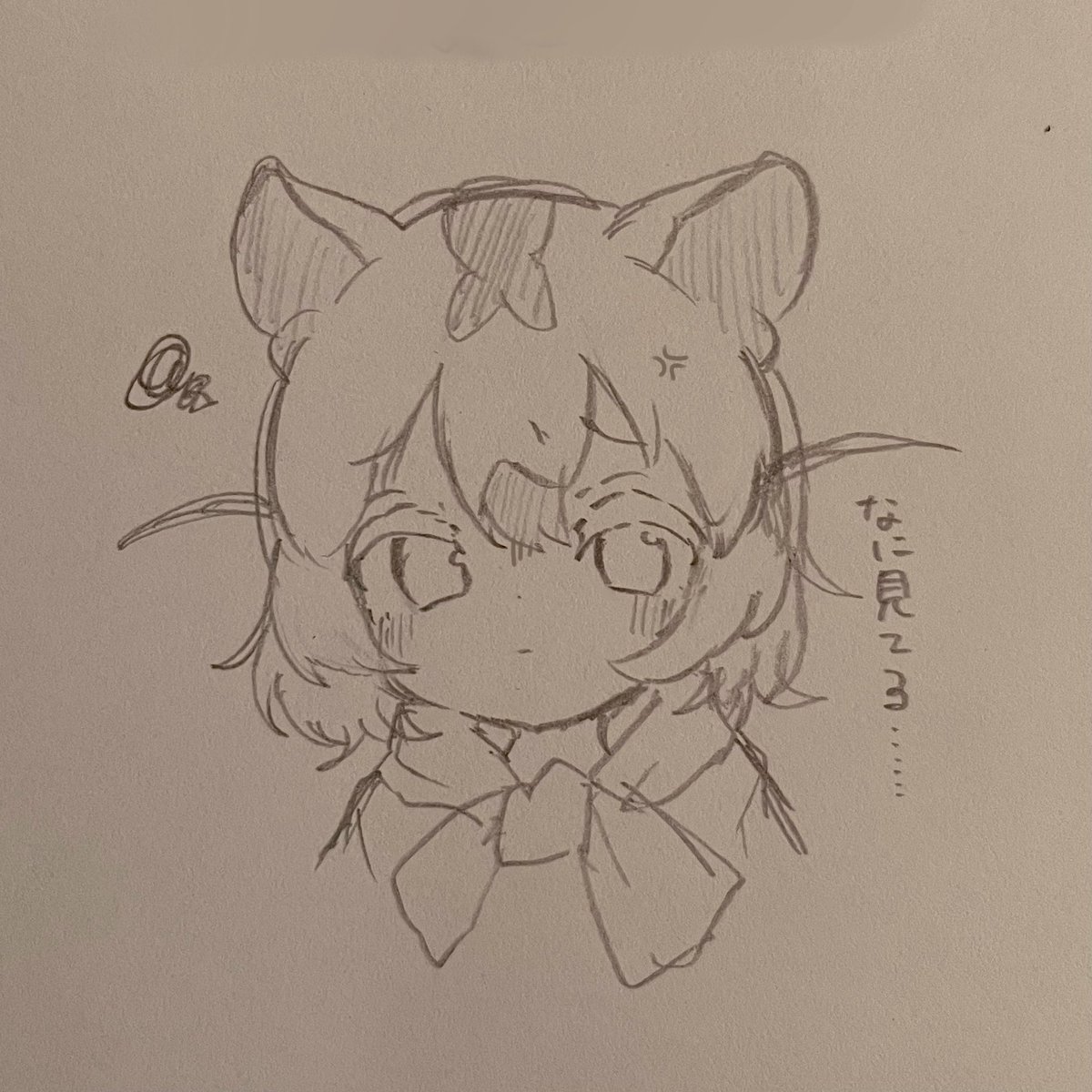 EEEEE___m's tweet photo. 僕の撮ったヤマネちゃん、怒ってるように見えるんだ…… https://t.co/9zYV7WZxZU