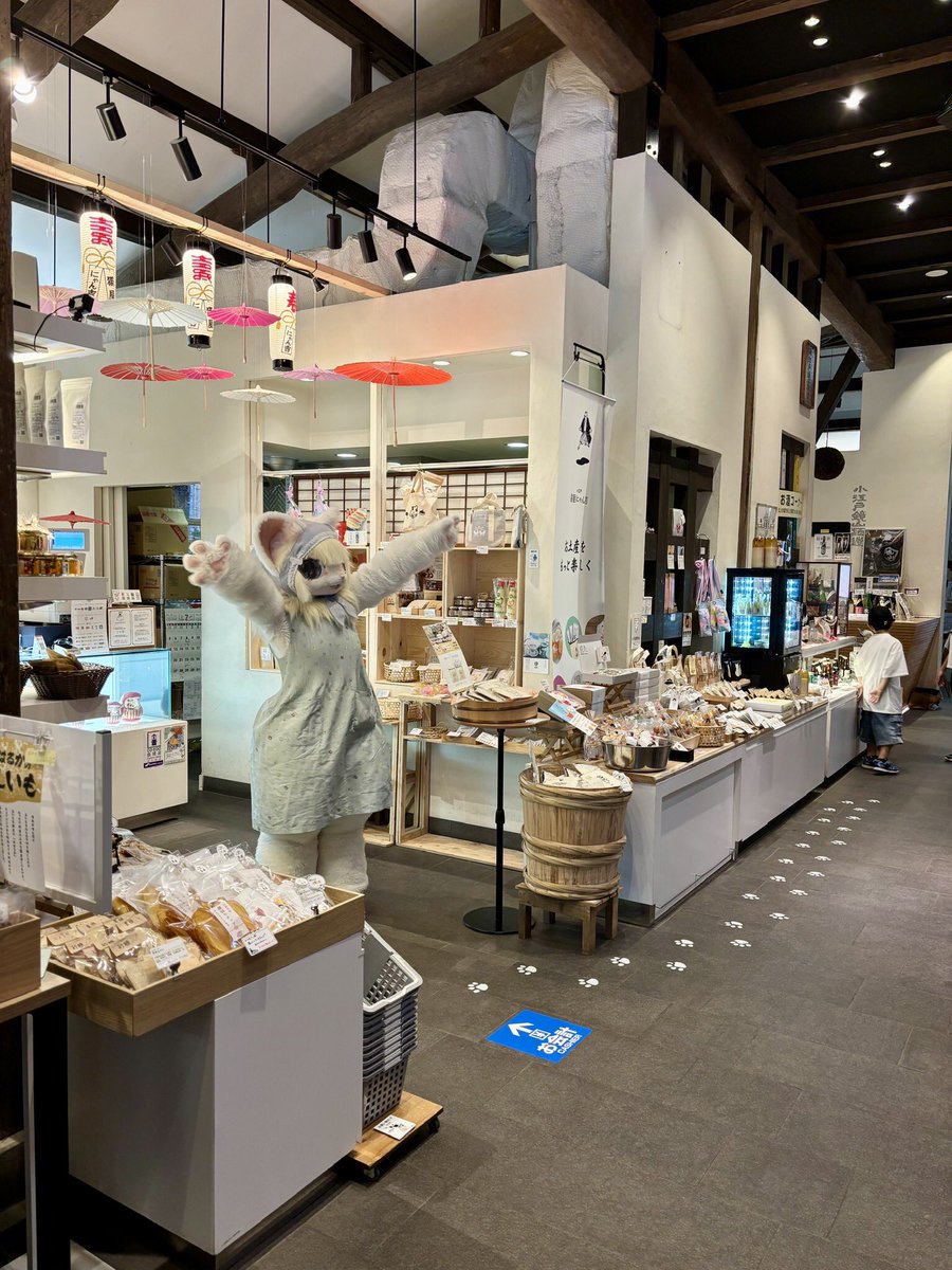 nekoyanyankichi's tweet photo. 祝Open100日㊗️
気ままな白ネコの女の子フィーニャちゃんがお手伝いにきてくれました✨

是非猫屋にゃん吉へ遊びにきてください🐾 https://t.co/3Rn2p6vclf