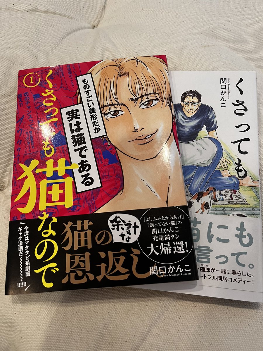 関口かんこ (@pkb5648) / Posts / X