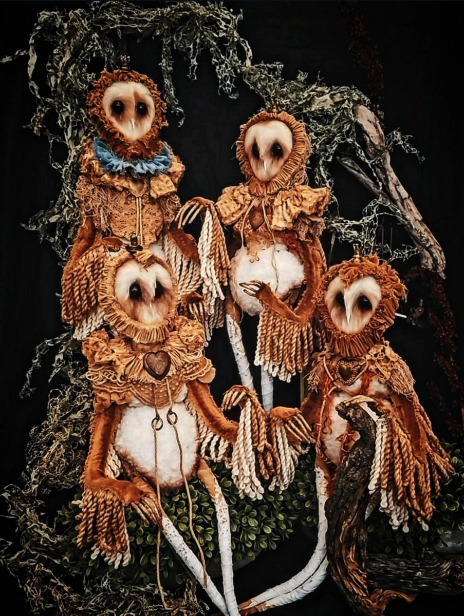 RootednStitched's tweet photo. Owl People !!! do their faces look like aliens faces to you ?? it is said that they show up as owls, happy friday whimsical souls 👽🦉 https://t.co/Pb3EXhRX9y