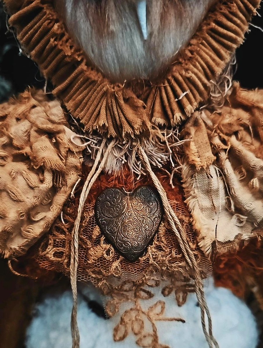 RootednStitched's tweet photo. Owl People !!! do their faces look like aliens faces to you ?? it is said that they show up as owls, happy friday whimsical souls 👽🦉 https://t.co/Pb3EXhRX9y
