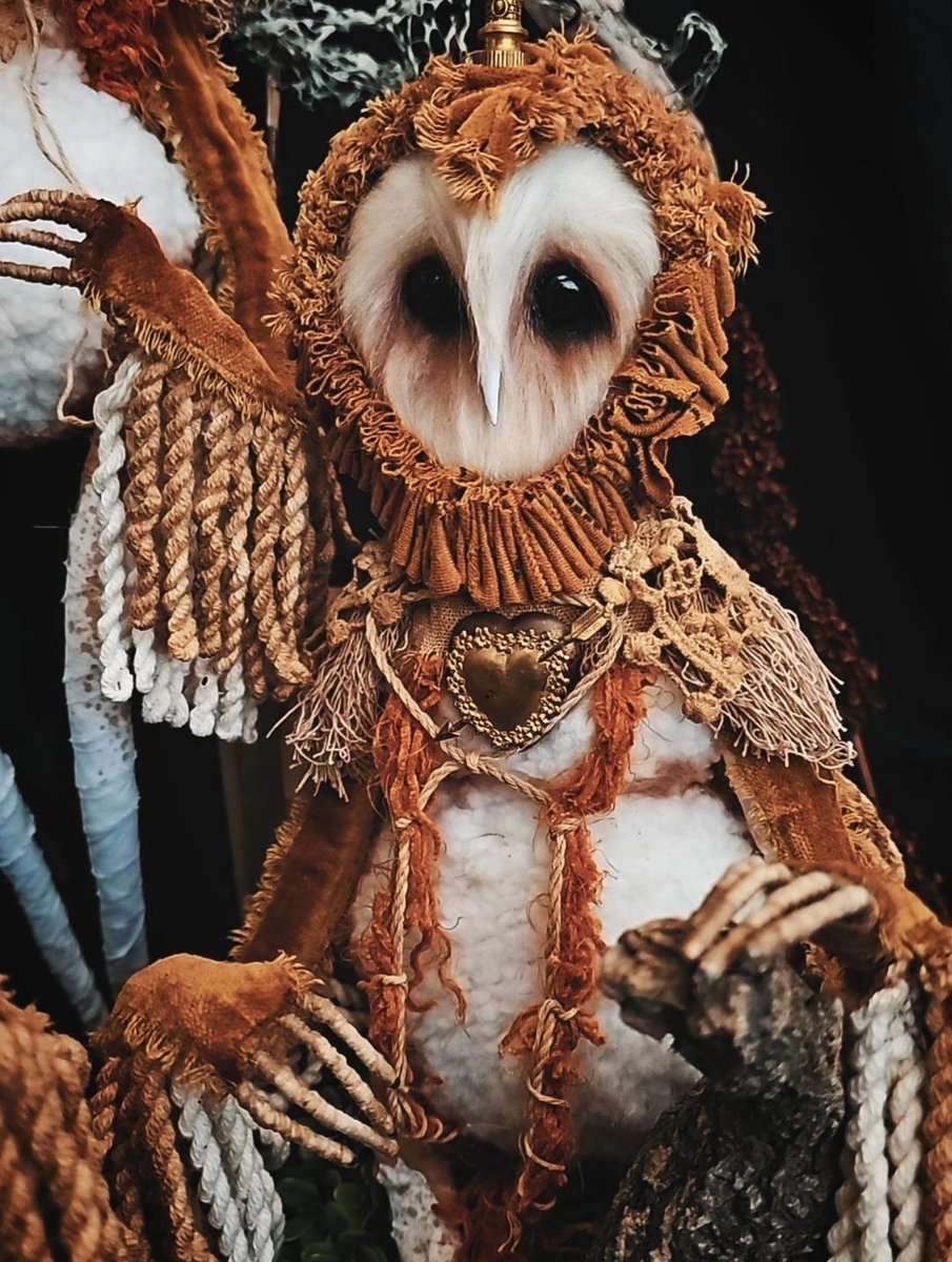 RootednStitched's tweet photo. Owl People !!! do their faces look like aliens faces to you ?? it is said that they show up as owls, happy friday whimsical souls 👽🦉 https://t.co/Pb3EXhRX9y