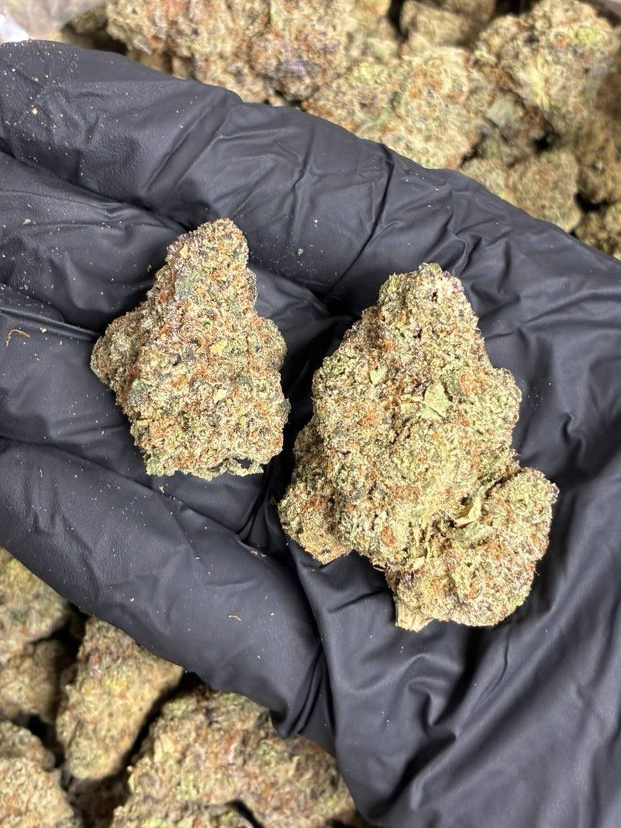 Bloom Haven Dispensary tweet media