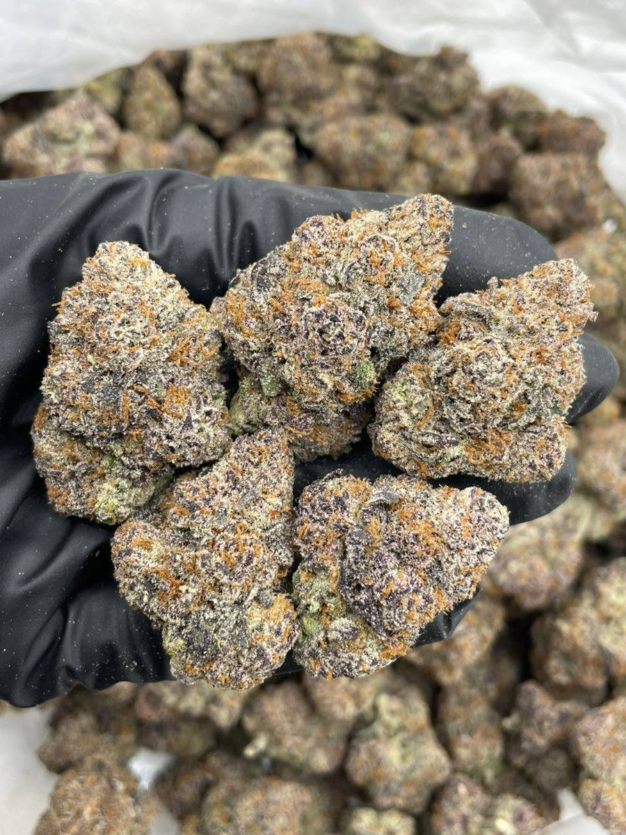 Bloom Haven Dispensary tweet media