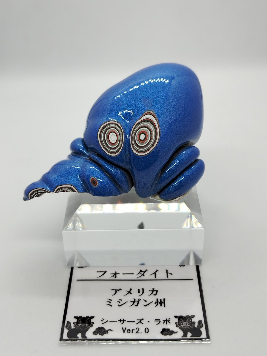 タコさん届いたᯓ𐂠(•◎•` ) ⨜ᯓ