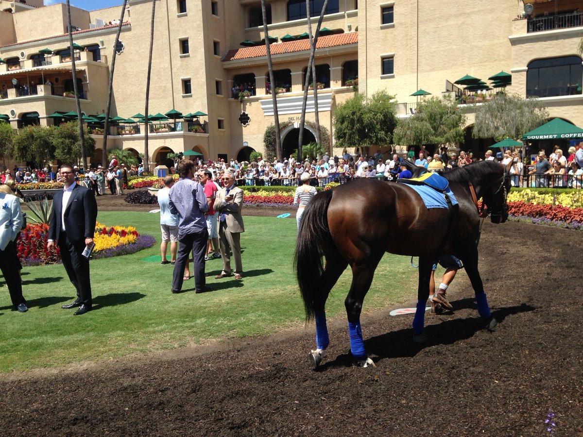 Billyballpro's tweet photo. Del Mar https://t.co/PgwWHuN80N