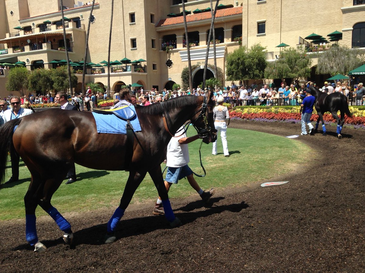 Billyballpro's tweet photo. Del Mar https://t.co/PgwWHuN80N