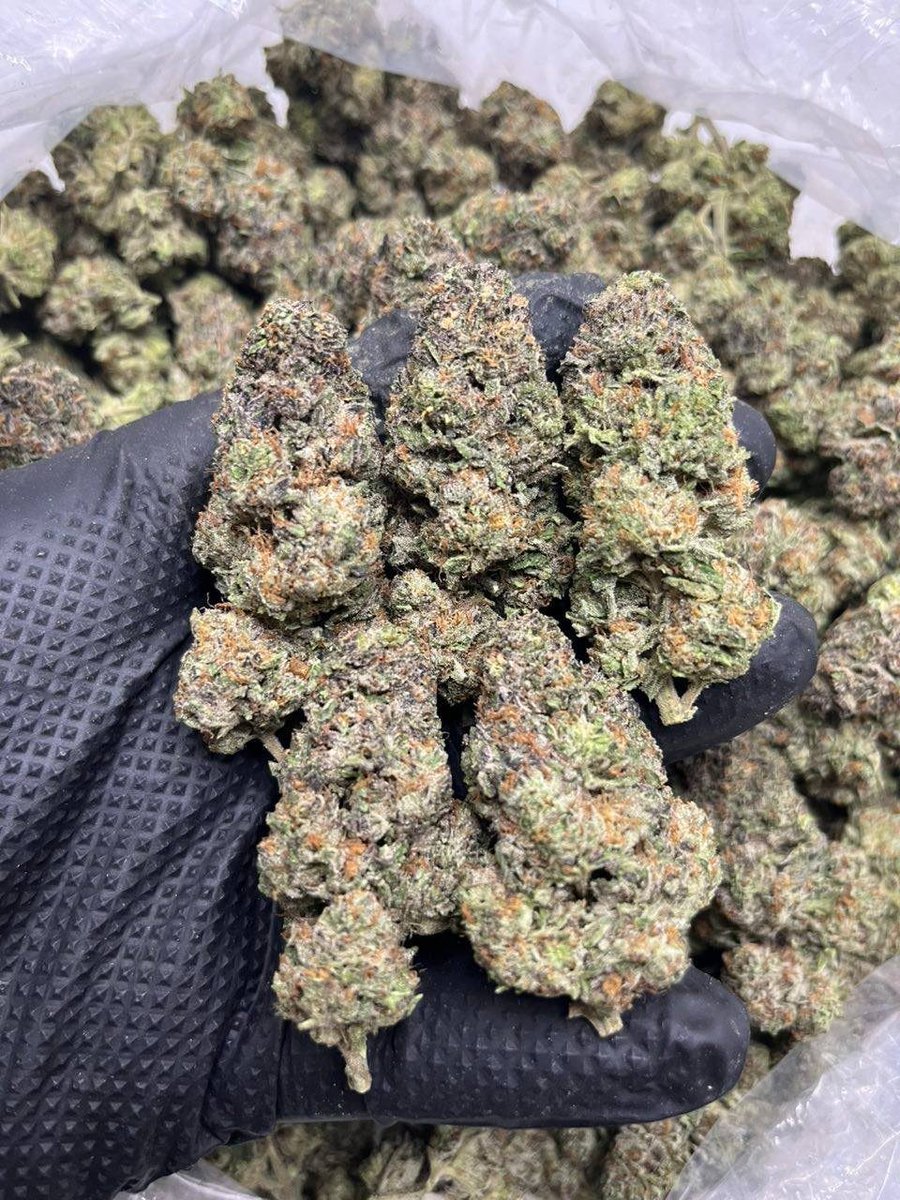 Bloom Haven Dispensary tweet media