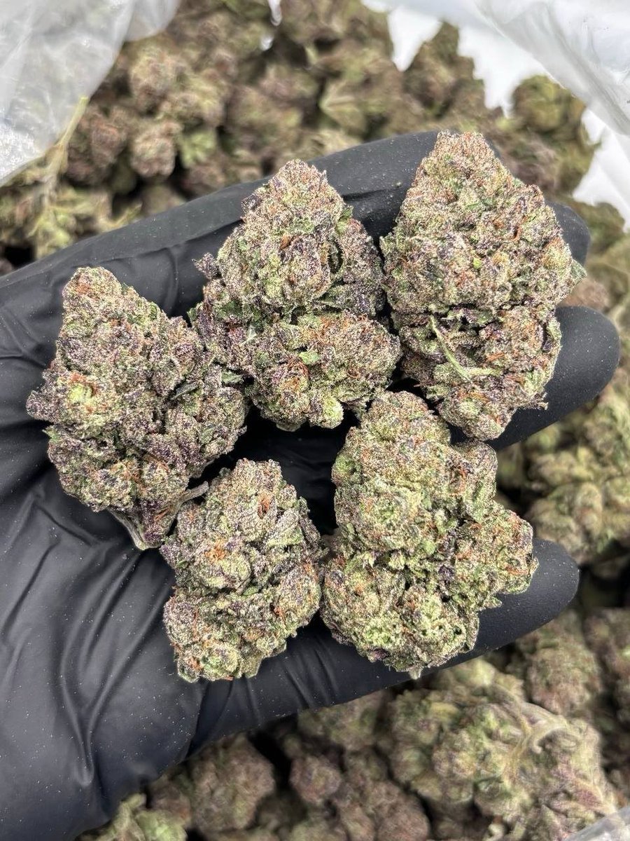 Bloom Haven Dispensary tweet media
