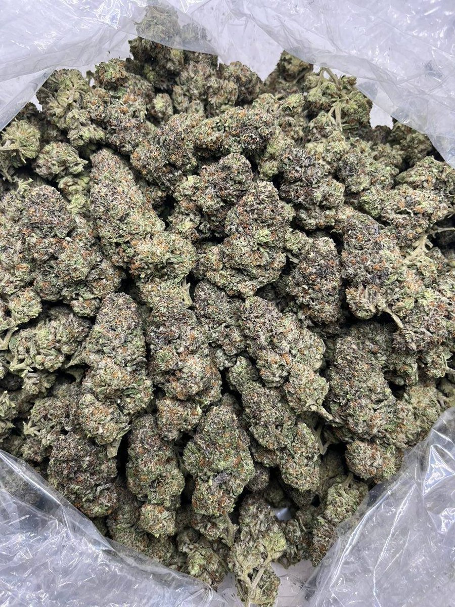 Bloom Haven Dispensary tweet media