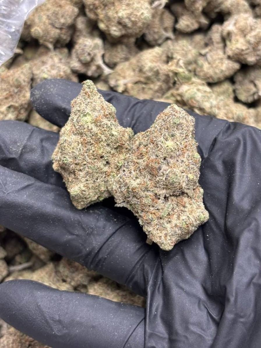 Bloom Haven Dispensary tweet media