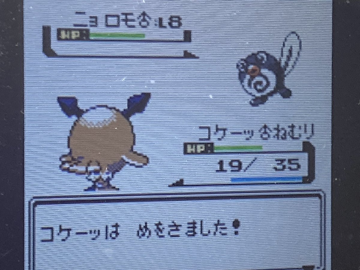 ハジメイチ tweet media
