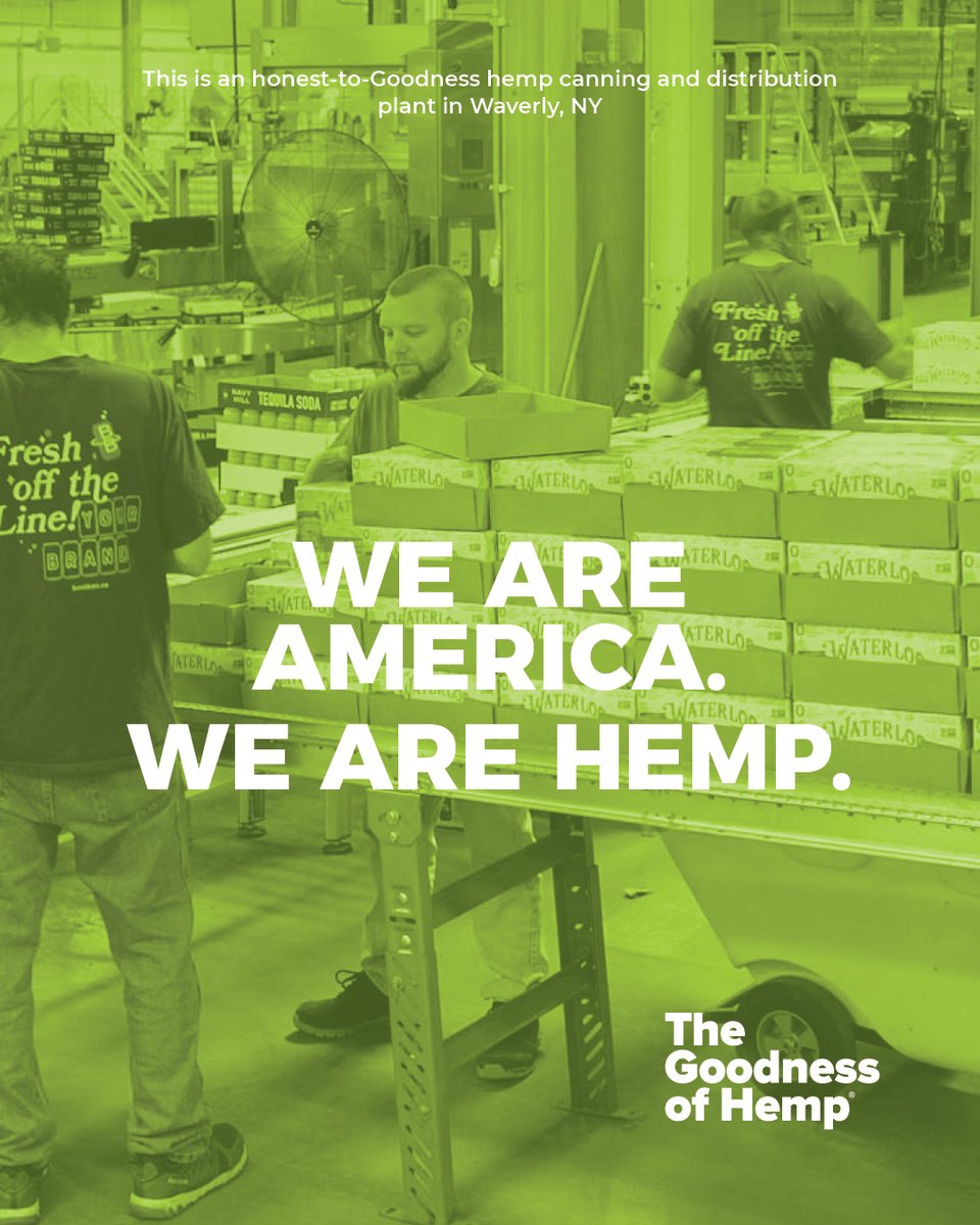 GoodnessofHemp's tweet photo. Hemp beverages deserve clear, responsible rules that protect consumers and support innovation. Congress is shaping the future of hemp now. Make your voice heard.

Take less than a minute to support The Goodness of Hemp®.

🔗 https://t.co/7ppxmb8LVJ → Take Action https://t.co/2FZzLR5rau