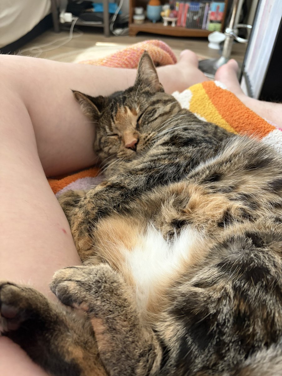 slirneboy's tweet photo. u guys im being so serious i adopted her at the perfect time bcuz if i hadn’t i would have killed myself fr https://t.co/RooF4VodbO
