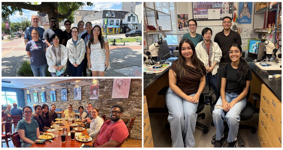 FlyEyeLab's tweet photo. My lab had the pleasure this week of introducing high school students Khulan Escue and Grace Lodi to the exciting world of the Drosophila compound eye. We took some time to get lunch at Lennie's and ice cream at Hartzell's. Hope to see both Grace and Khulan as future IU students! https://t.co/LWPLt5obLO