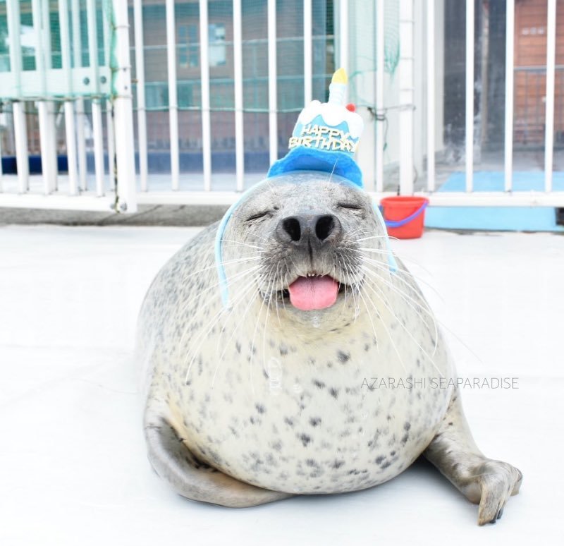 nine9diamonds's tweet photo. IT'S MY BIRTHDAY IT'S MY BIRTHDAY IT'S MY BIRTHDAY IT'S MY BIRTHDAY  IT'S MY BIRTHDAY IT'S MY BIRTHDAY IT'S MY BIRTHDAY IT'S MY BIRTHDAY IT'S MY BIRTHDAY IT'S MY BIRTHDAY IT'S MY BIRTHDAY IT'S MY BIRTHDAY IT'S MY BIRTHDAY IT'S MY BIRTHDAY IT'S MY BIRTHDAY IT'S MY BIRTHDAY IT'S MY https://t.co/yvFuiPZa4y