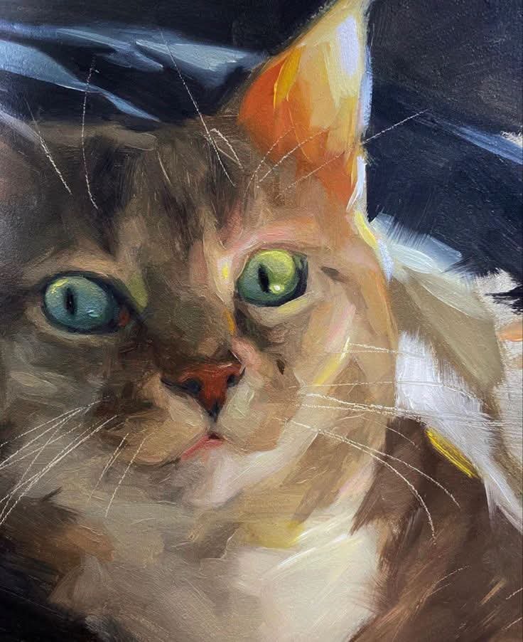 JohnLee90252472's tweet photo. @catisthecatch @BrindusaB1 #catday good morning all happy catday with this by Jennifer Genari ☺🐈‍⬛😻🐈 https://t.co/70uZJeIbrx