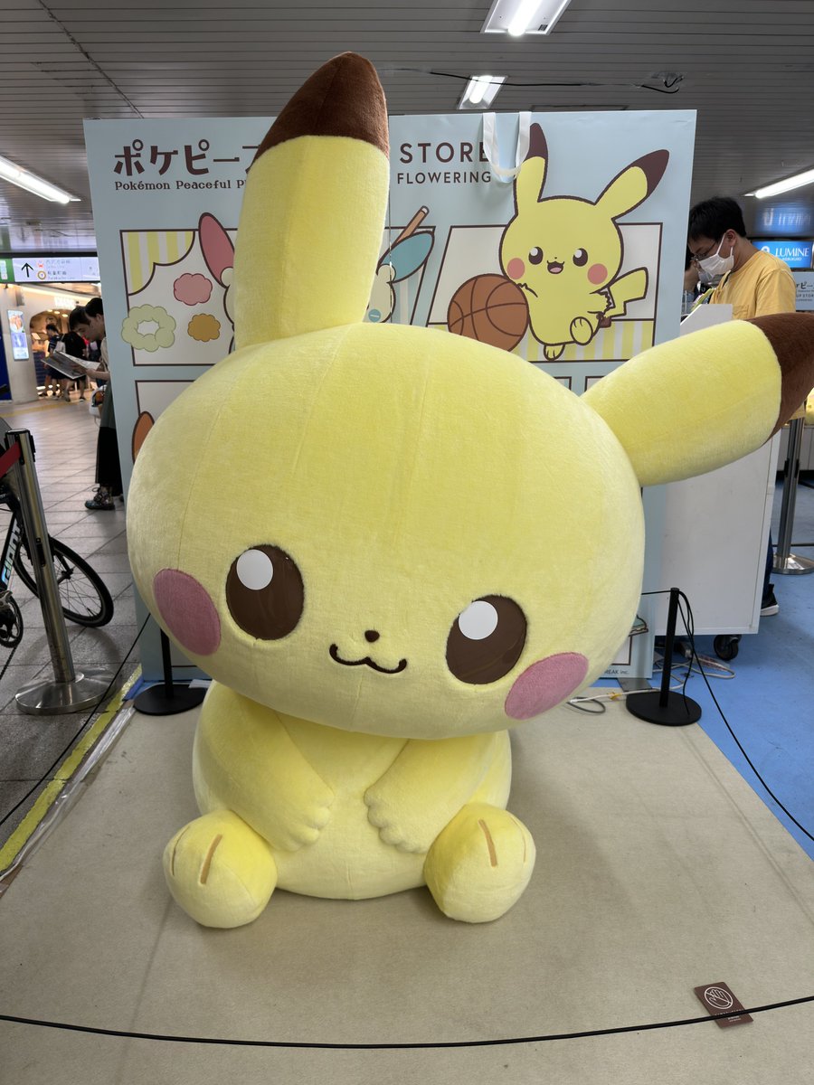 なんかめっちゃ可愛いピカチュウがいた