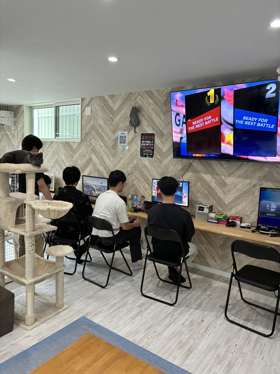 Cat_SSB's tweet photo. Aブロック始まってます😺 https://t.co/cES9OBEbMA