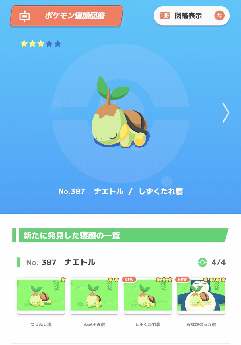 hren_0125's tweet photo. #ポケスリ3周年をみんなで 
ナエトルの寝顔コンプ！採用個体もゲットできたし来週安心してシアン行ける✌︎ https://t.co/rxtRnZINFM