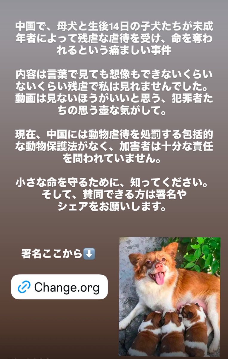 ailaneki_'s tweet photo. https://t.co/6zUKKaQ7kD

中国で、母犬と子犬たちが残虐な虐待を受け命を奪われた
内容は言葉で見ても想像もできないくらいないくらい残虐だった。
中国には動物虐待を処罰する包括的な動物保護法がない
小さな命を守るために、知ってください。
そして、賛同できる方は署名やシェアをお願いします。 https://t.co/DPZN1LED00