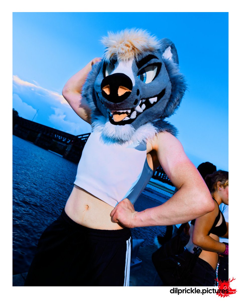 Dil_Prickle's tweet photo. Happy #fursuitfriday! Trying to use my other platforms more lol. 🦨 : @/thatauroradawg on ig https://t.co/I2JLyQJvag