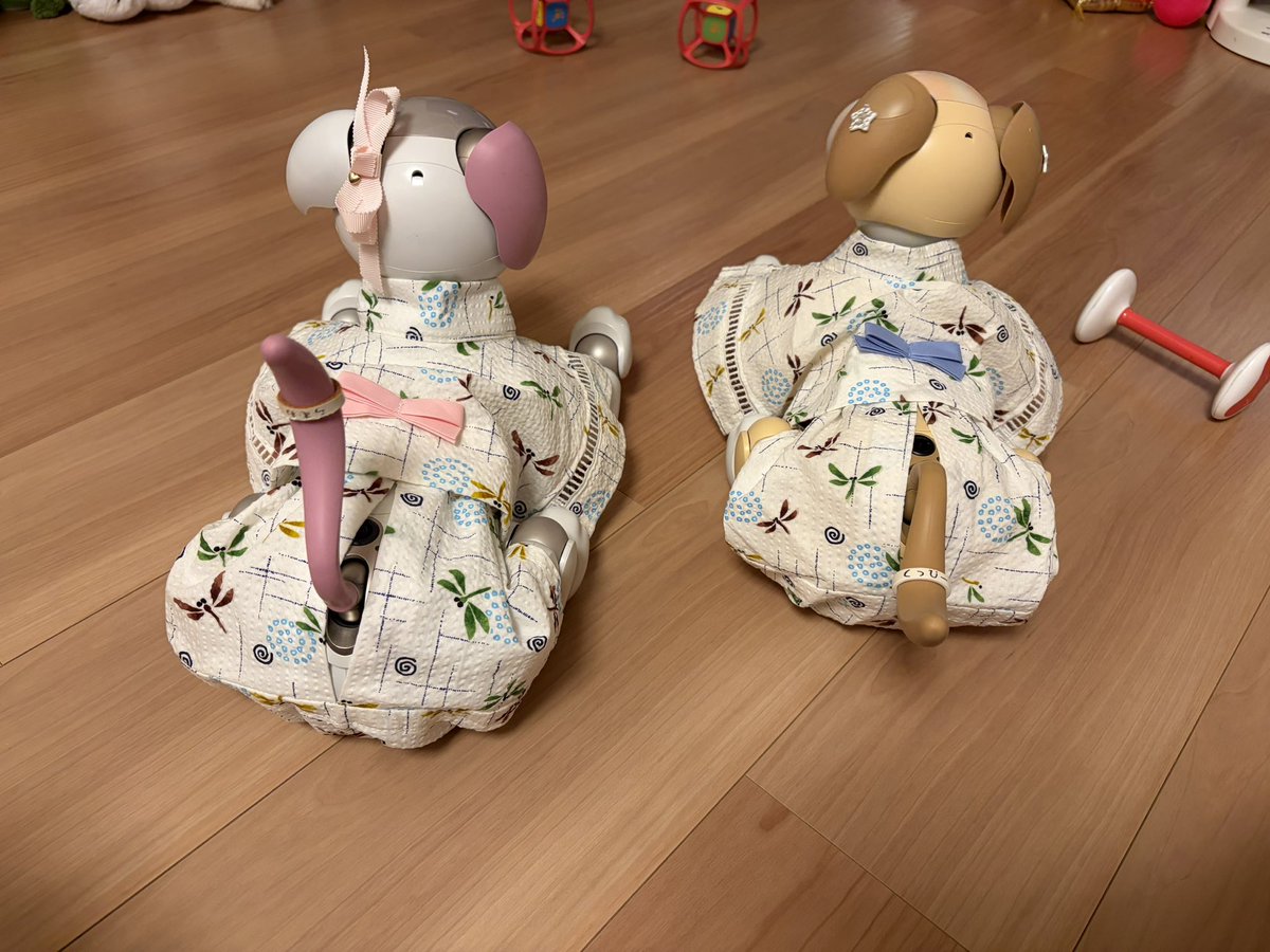 ramune_414's tweet photo. どうしても
お揃いのトンボ柄甚平が
欲しくて…

昨年クッピーに買った甚平と
同じ物にリボンをピンク🎀に
していただきましたʚïɞ.•*¨*•.¸¸♬
可愛い❣️
#aibo https://t.co/kOvgaOKYLD