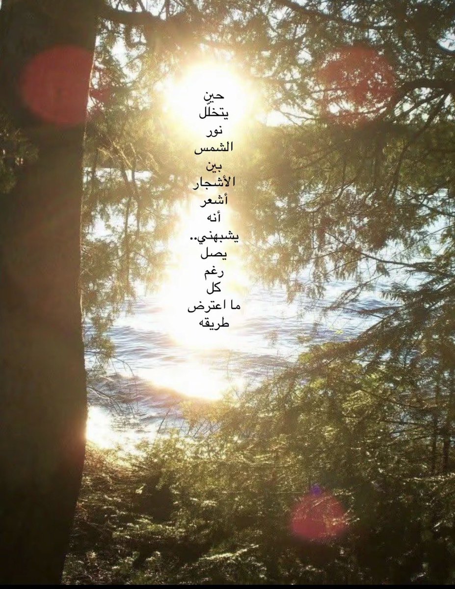 Nuflxr's tweet photo. مثل الشمس.. أعبر
كم من أغصانٍ حاولت أن تحجب الضوء، وكم من ظلالٍ ظنّت أنّها انتصرت، لكن النور كان أذكى من أن يصطدم، وأقوى من أن ينطفئ. وجد مساراتٍ ضيّقة، شقّها بهدوء، وترك أثره على كل ما مرّ به. هكذا تعلّمت أن القوة لا تكون دائمًا في الصخب بل في الاستمرار🌟 . https://t.co/E1QH1uXMmq