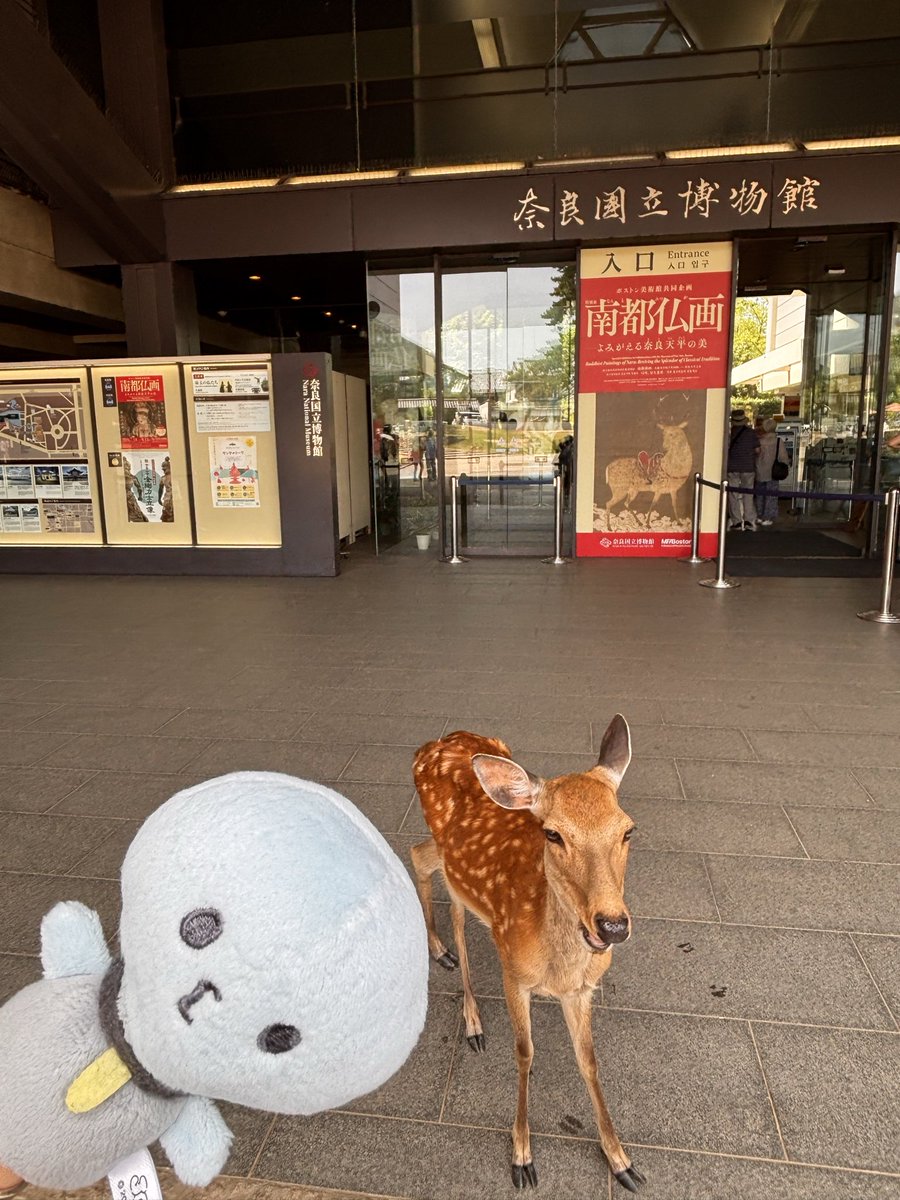 jam_kyankyan's tweet photo. 優しい声で説明してもろて☺️
母と息子と、楽しんだよー！素晴らしい展示でした！
何度も訪れてる奈良国立博物館で、純喜の音声ガイドが聞けるなんて幸せ☺️
#南都仏画展　#奈良国立博物館
#河野純喜 https://t.co/uMiL0P7Mhq