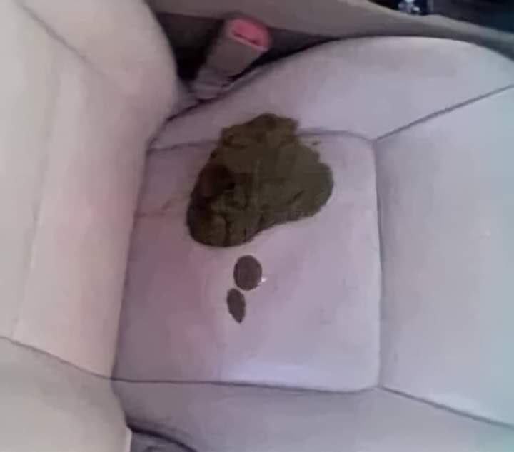 ogmiyazaki's tweet photo. Gente meu tio é motorista de Uber e ontem um passageiro cagou no banco dele e ainda saiu como se nada tivesse acontecido. ele tentou entrar em contato mas só conseguiu a foto de perfil dele :( ajudem pfv 🥺 https://t.co/0wuprWye6T