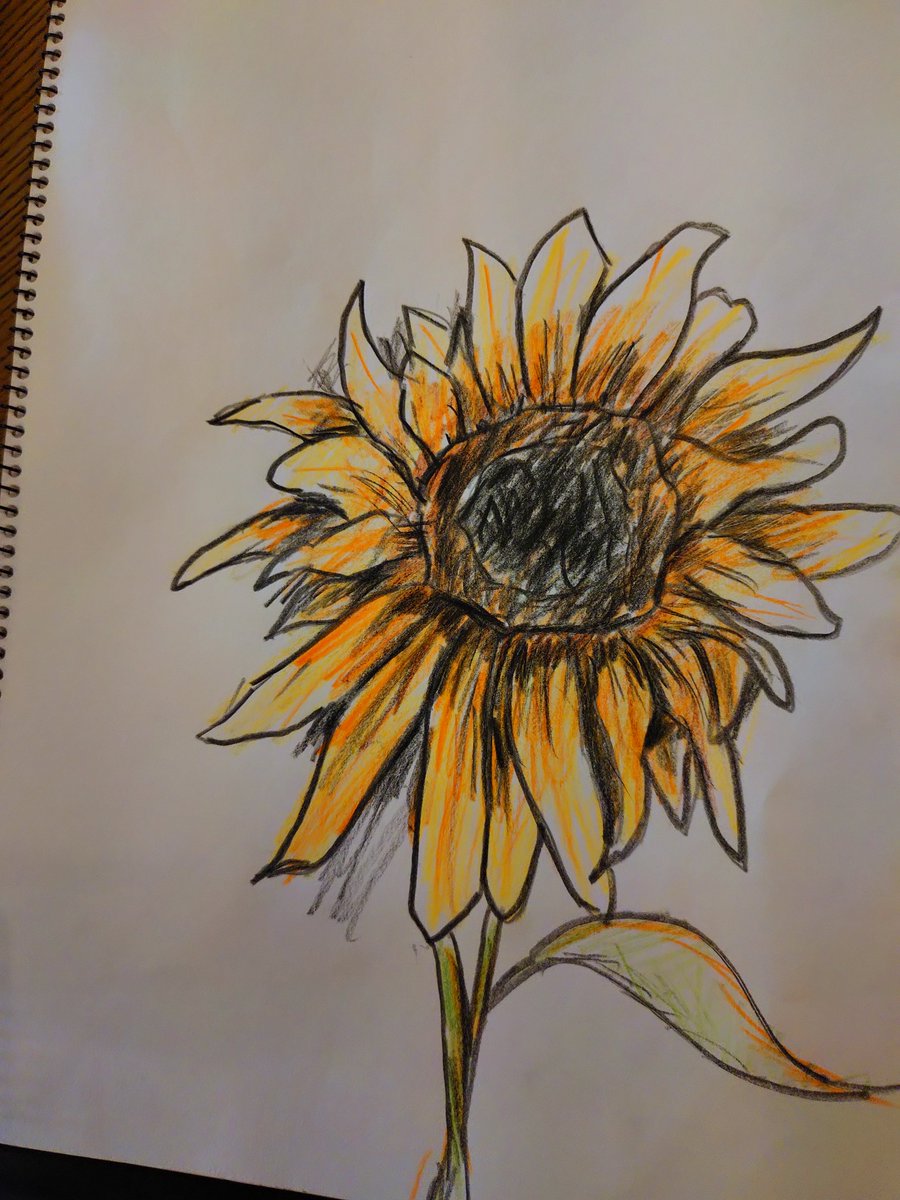 昨日の向日葵… 少し描き足しました🌻✨✨ 線を太くして影を足した